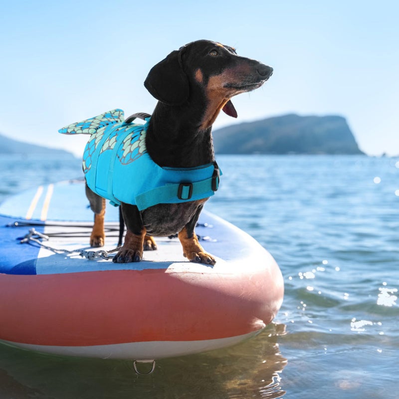 Queenmore Dog Life Jacket Ripstop Shark Dog Safety Vest Adjustable Preserver with High Buoyancy and Durable Rescue Handle for Small,Medium,Large Dogs, Pink Shark Large - Image 5